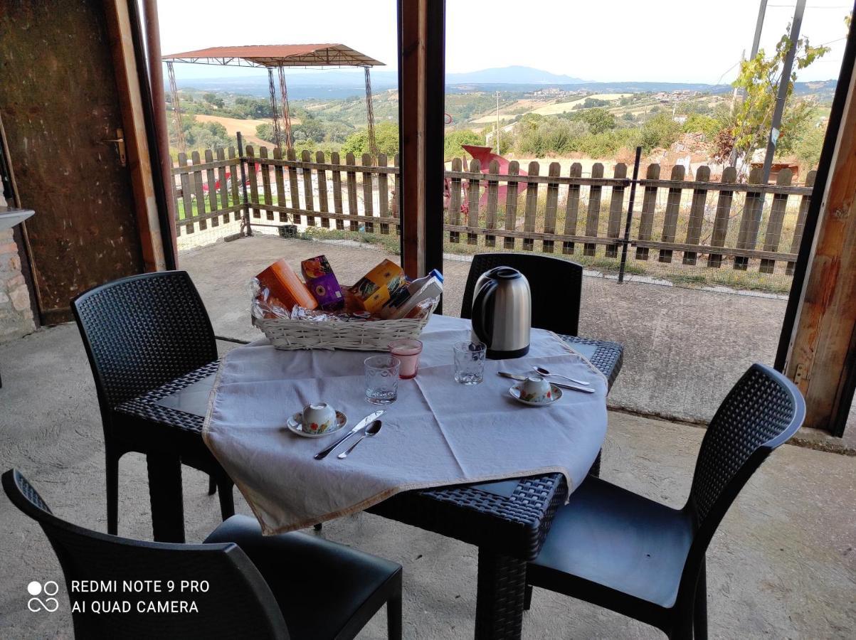 Giardino Casa Selciata Apartment Calvi dell' Umbria ภายนอก รูปภาพ
